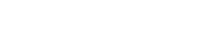 Skatinger